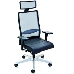 Interstuhl AirPad 3C72 Drehsessel