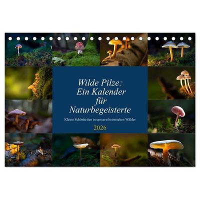 Wilde Pilze: Ein Kalender für Naturbegeisterte (Tischkalender 2026 DIN A5 quer), CALVENDO Monatskalender