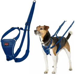 Halti No Pull Harness Cobalt Blue Small (Hund), Halsband + Leine
