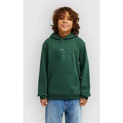 Quiksilver Comp Logo Kids Hoodie forest Gr. T16