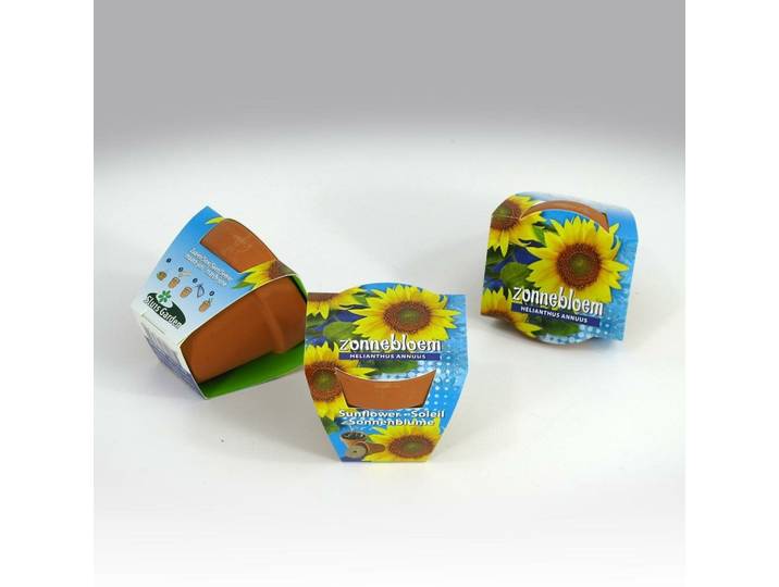Greengift Terracotta Zonnebloem hoge gele