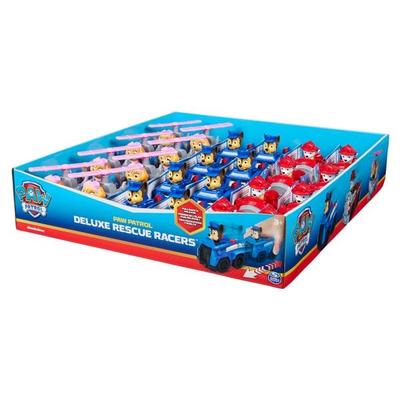 PAW Deluxe Rescue Racers