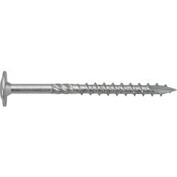 SWG 191 98 300 19 Holzschraube 8 mm 300 mm Innenvielzahn Stahl verzinkt 50 St.