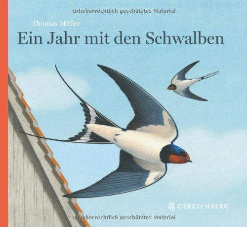 Thomas Müller - Ein Jahr mit den Schwalben - Preis vom 16.10.2026 11:41:07 h