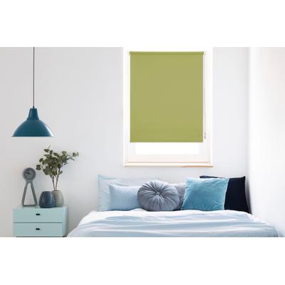 Seitenzugrollo MYDECO "Win" Gr. 4, grün (grün, weiß), B:75cm H:160cm, Polyester, Rollos, Seitenzugrollo, bis Breite 120cm