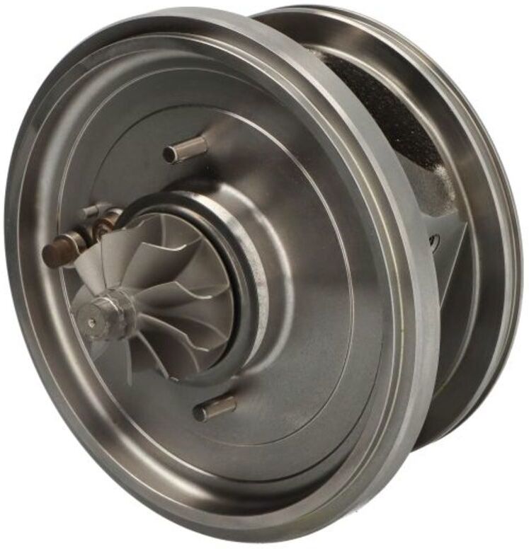 Cartouche / CHRA / Core Assy BMTS 40009462