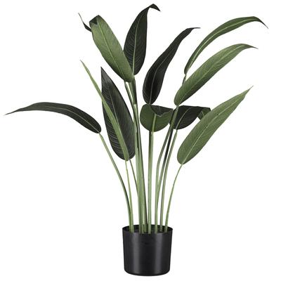 Künstliche Zimmerpflanze CREATIV GREEN "Wassercanna", grün, H:90cm, Kunststoff, Kunstpflanzen, Künstliche Zimmerpflanze, mit üppigem Blattwerk
