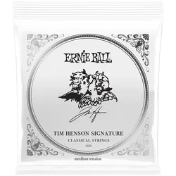 Ernie Ball Tim Henson Signature - Saiten Konzertgitarre