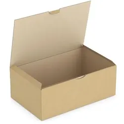 Rajapack, Versandkarton + Versandbox, Raja Versandkarton 1-wellig Pappe 220 (B) x 130 (T) x 350 (H) mm Braun (50 Stk.)