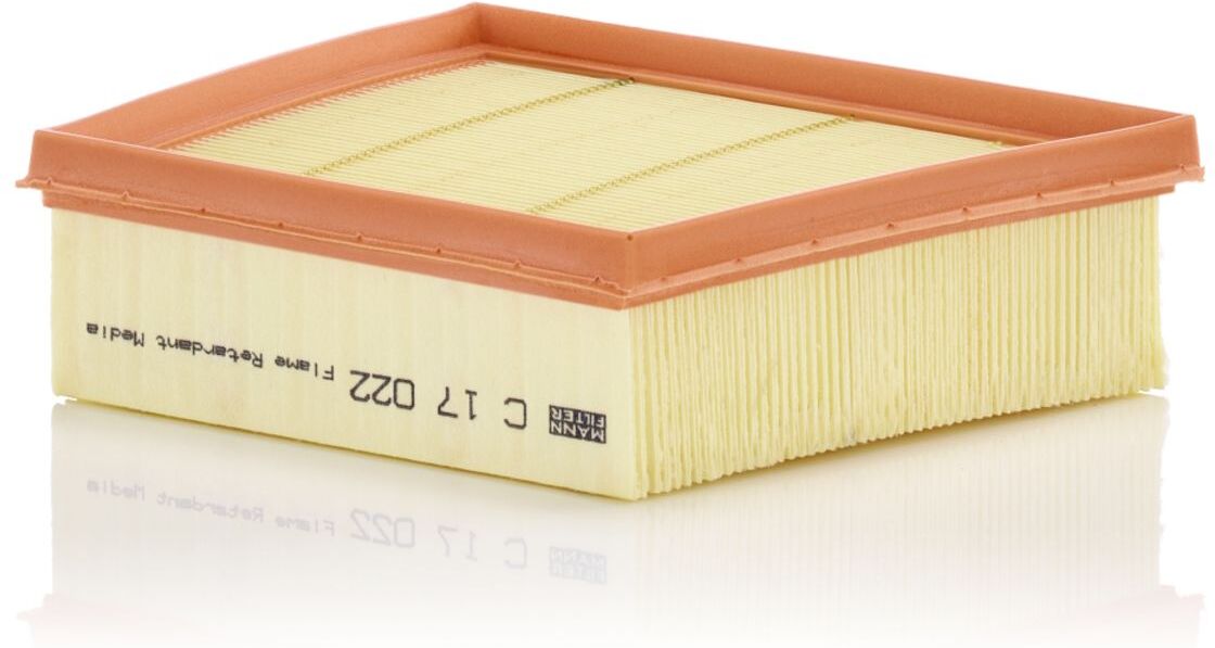 Luftfilter MANN-FILTER C 17 022