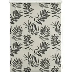 Lichtblick Rollo Klemmfix, ohne Bohren, Verdunkelung, Black Watercolor Branches - Schwarz