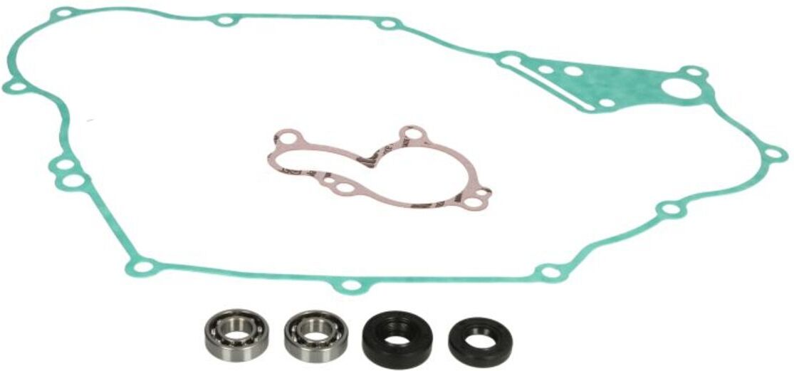 Pompe à eau WINDEROSA W821920