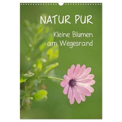 NATUR PUR Kleine Blumen am Wegesrand (Wandkalender 2027 DIN A3 hoch), CALVENDO Monatskalender