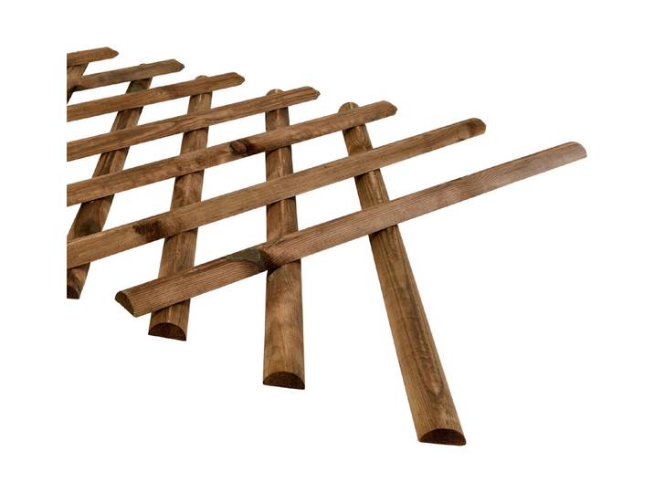 Jardin Royal Scherenzaun 250 x 80 cm
