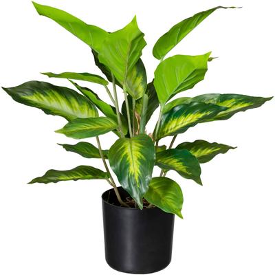 Künstliche Zimmerpflanze CREATIV GREEN "Dieffenbachia", grün, H:45cm, Kunststoff, Kunstpflanzen, Künstliche Zimmerpflanze