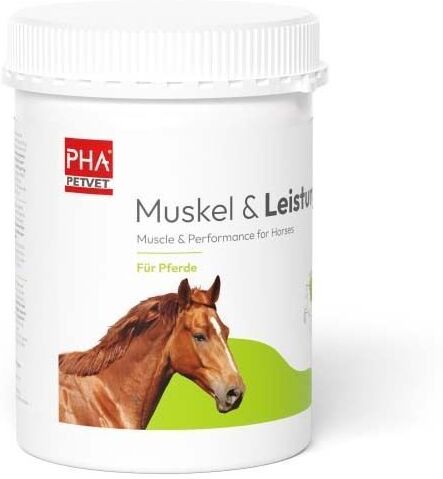 PHA Petvet PHA Muskel & Leistung Pulver f.Pferde 2x 2x850 g