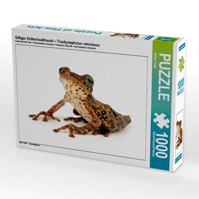 CALVENDO Puzzle Giftiger Krötenlaubfrosch - Trachycephalus venulosus | 1000 Teile Lege-Größe 64 × 48 cm Foto-Puzzle für glückliche Stunden