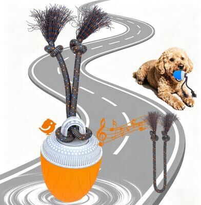Everyday Crate Smart Motion Interactive Dog Ball With Rope & USB Rechargeable Training Toy orange
