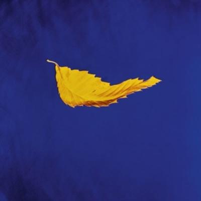 True Faith(2023 Remaster) - New Order, Vinyl