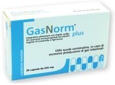 Laerbium Srl Gasnorm Plus 36cps 23,4g
