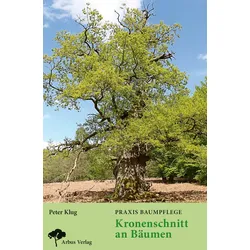 Praxis Baumpflege – Kronenschnitt an Bäumen