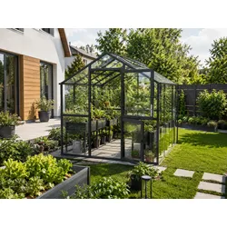 KGT Gewächshaus Aptasia Typ III-small Seitenwände & Dach: 4 mm Einscheibensicherheitsglas, anthrazit / grau