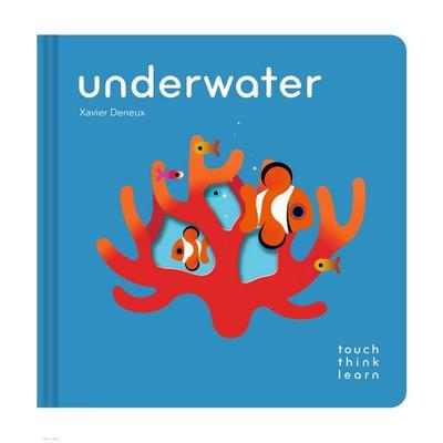 TouchThinkLearn: Underwater, Gebundene Ausgabe von Xavier Deneux, Abrams & Chronicle, 978-1-79723-247-8