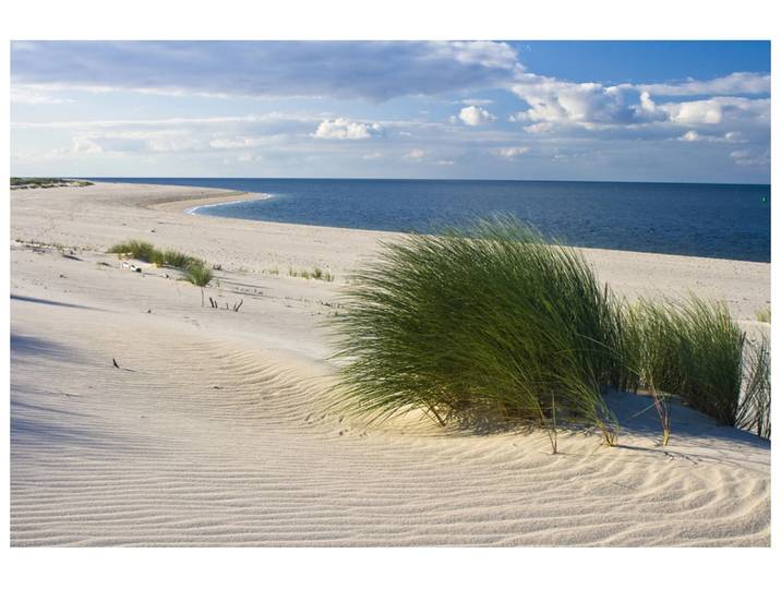 Alubild Strand mit Dünengras image LAND