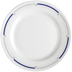 Esmeyer 6 x Seltmann Teller flach 21 cm Fahne, Form:  Imperial, Dekor: 21101 Nova