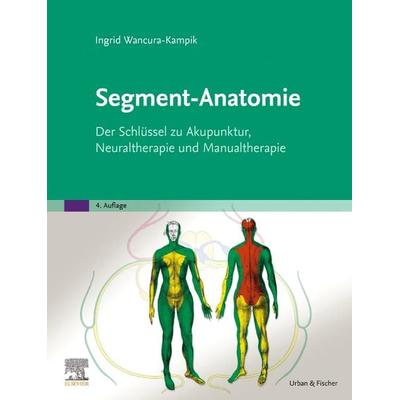 Segment-Anatomie, Gebundene Ausgabe von Ingrid Wancura-Kampik, Urban & Fischer in Elsevier, 978-3-437-57973-8