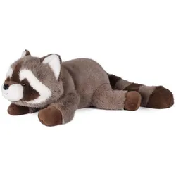 Doudou et Compagnie Waschbär 32cm (MQ3) (32 cm)