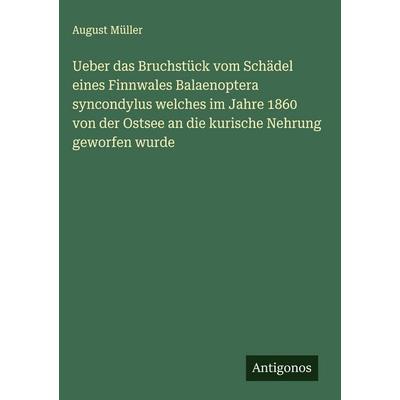 Ueber das Bruchstück vom Schädel eines Finnwales Balaenoptera syncondylus welches im Jahre 1860 von der Ostsee an die kurische Nehrung geworfen wurde,