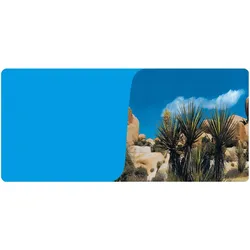 Reptiles-Planet Desert/Bleu Terrarium, Terrariumeinrichtung