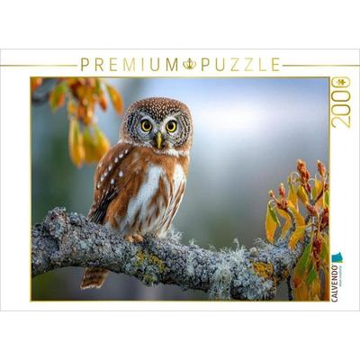 CALVENDO Puzzle Der Waldkauz in seinem Revier | 2000 Teile Lege-Größe 90x67cm Foto-Puzzle für glückliche Stunden, Sonstige von , Calvendo Puzzle
