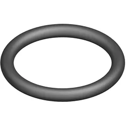 O-Ring 26x3 Set (5x) - 87185755250