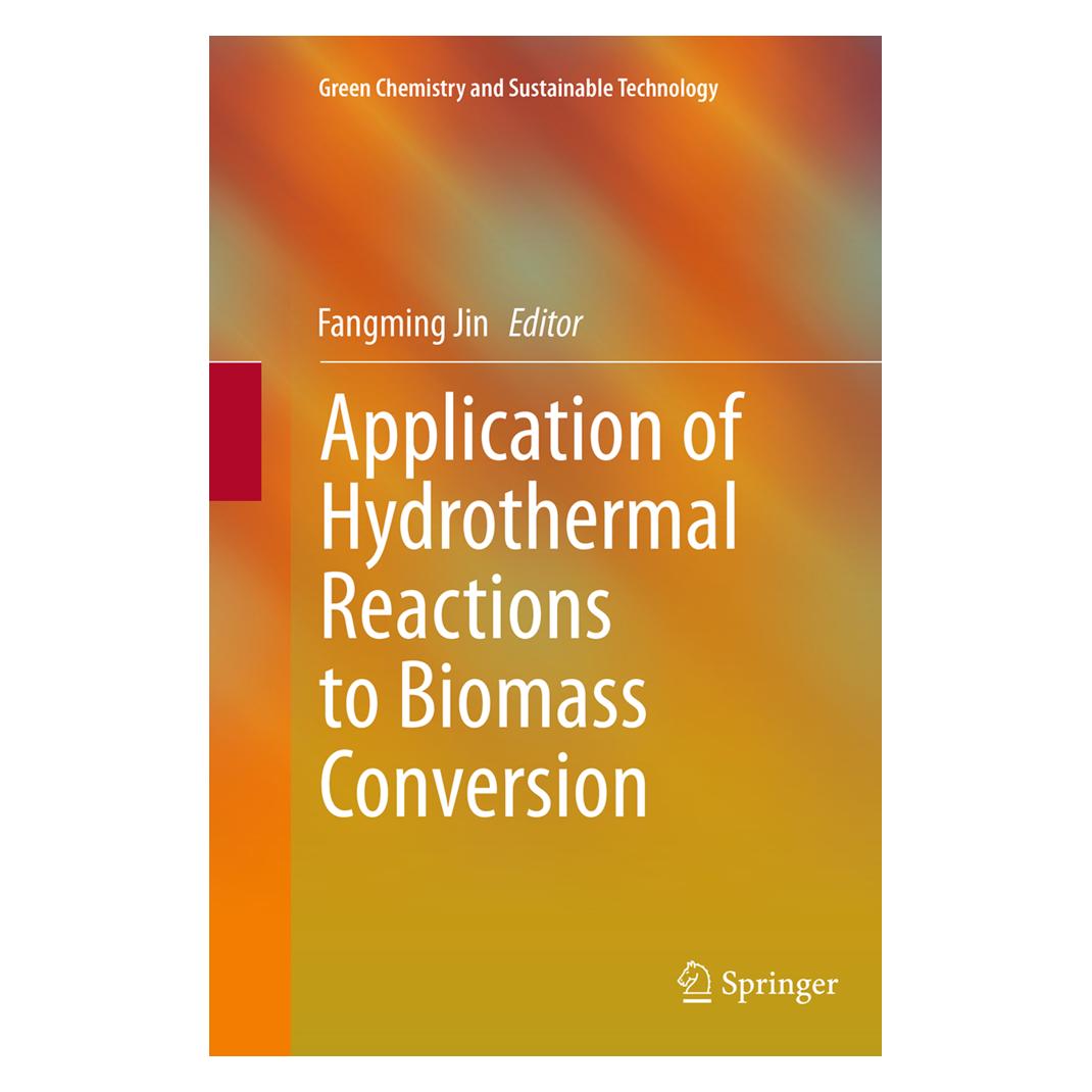 Springer Application of Hydrothermal Reactions to Biomass Conversion (Englisch, Softcover, Fangming Jin) (55841885)