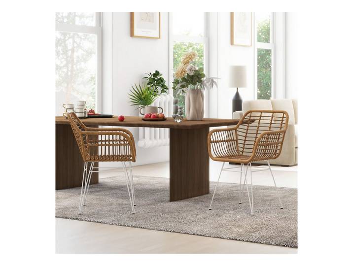 HOMCOM Esszimmerstuhl Küchenstuhl mit Rückenlehne, Kunstrattan-optik, Sessel (Wohnzimmerstühle, 2 St), für Wohnzimmer, Esszimmer, Braun
