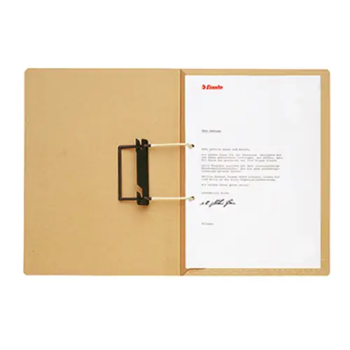 Leitz Pendelhefter 21890000 Naturbraun Art der Heftung: kaufmännische Heftung, Schlauchheftung 250 g/m² 1 St.