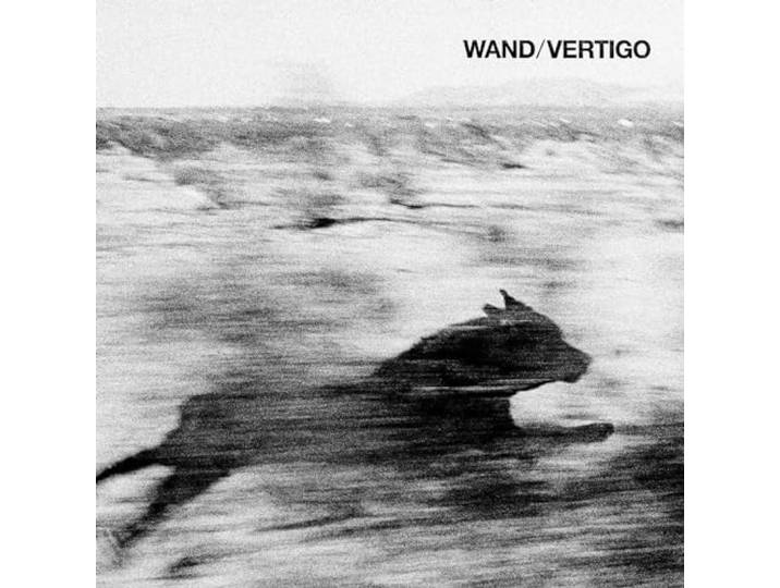 Vertigo