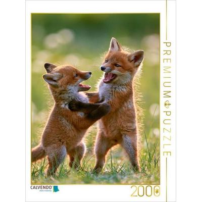 CALVENDO Puzzle Ein Motiv aus dem Kalender Fuchszauber | 2000 Teile Lege-Größe 90x67cm Foto-Puzzle für glückliche Stunden, von , Calvendo Puzzle