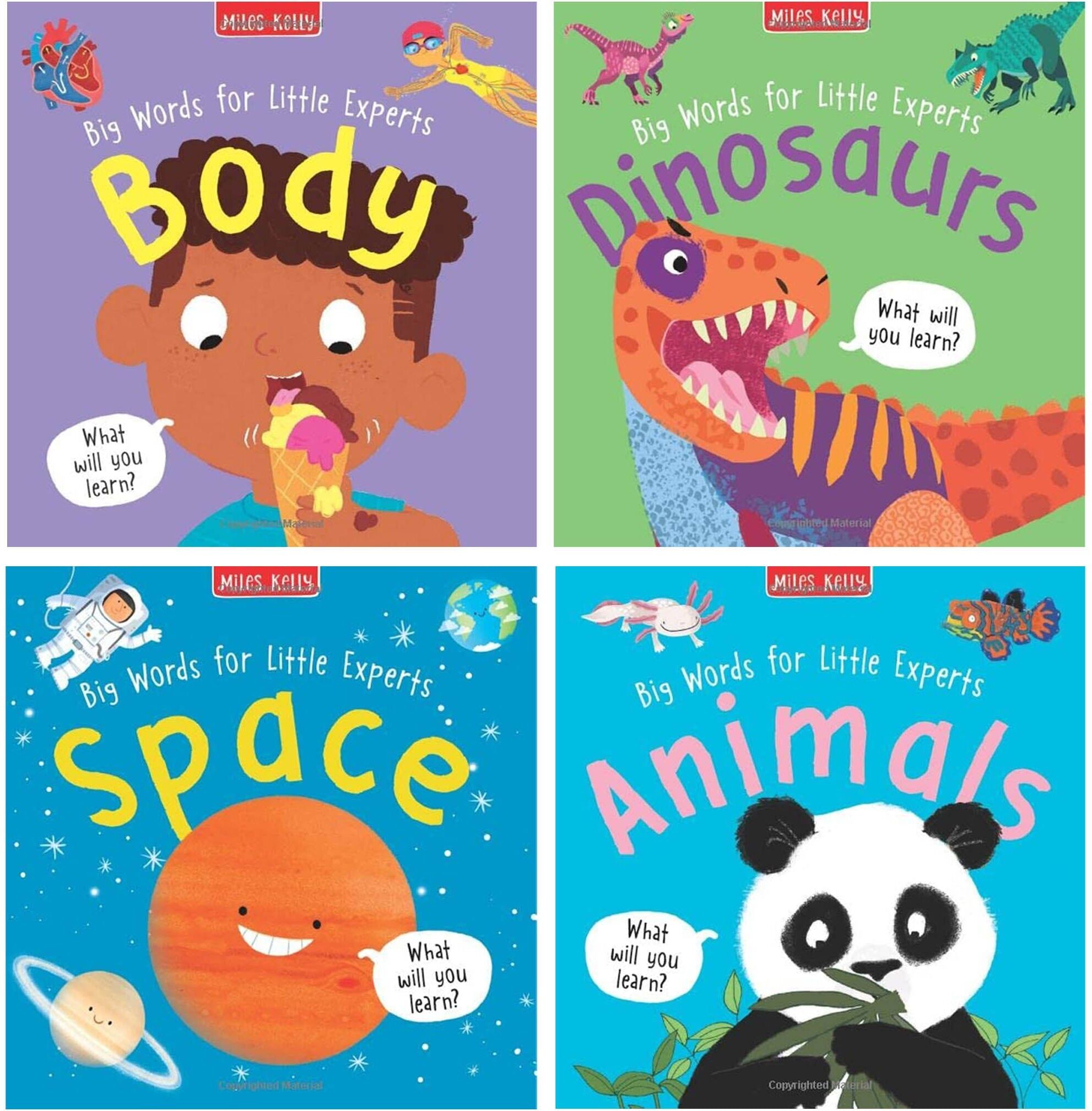 Big Words for Little Experts By Miles Kelly 4 Books Collection Set - Ages 2+ - Paperback Miles Kelly Publishing Ltd