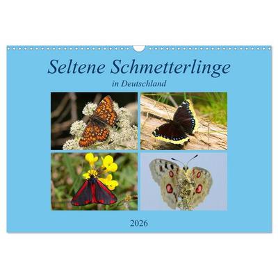 Seltene Schmetterlinge in Deutschland (Wandkalender 2026 DIN A3 quer), CALVENDO Monatskalender