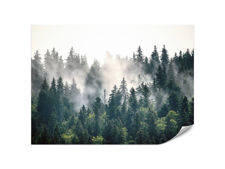 FOTOTAPETE für Wohnzimmer Nebeliger Nadelwald Berg Mystik Bäume 200x140