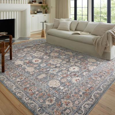Alexander Home Colette Vintage Floral Area Rug