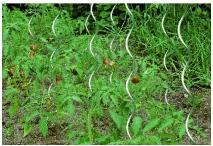 floraworld Tuteur spirale pour tomates 150 cm, diamètre 6,8 mm galvanisé (12307)