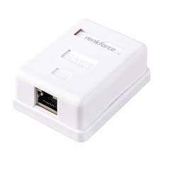 Renkforce Netzwerkadapter Aufputz CAT 6 1 Port Weiß RF-4541182