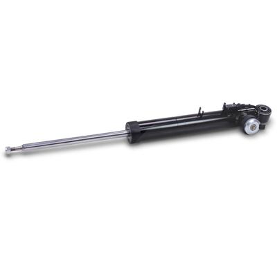 Bestprice Stoßdämpfer hinten links [Hersteller-Nr. 40790053] für Audi