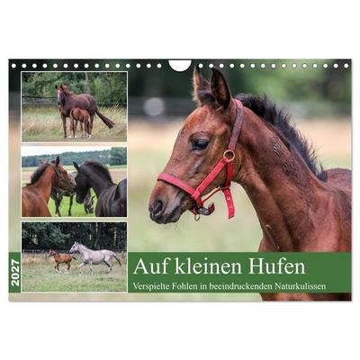 Auf kleinen Hufen (Wandkalender 2027 DIN A4 quer), CALVENDO Monatskalender