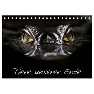 Tiere unserer Erde (Tischkalender 2026 DIN A5 quer), CALVENDO Monatskalender