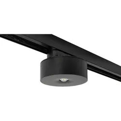 RP-Technik Sicherheitsleuchte ILDL423SC-SW-3P